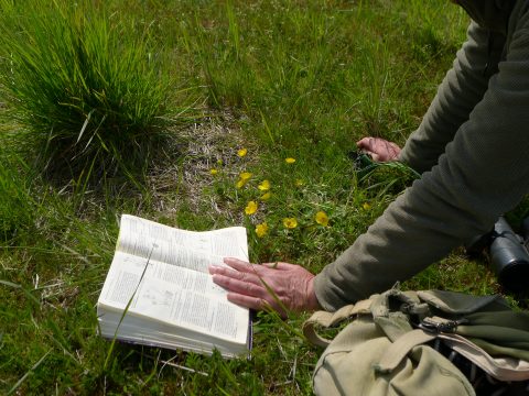 Persoon bestudeert bloemen in gras met een open boek en rugzak naast zich.