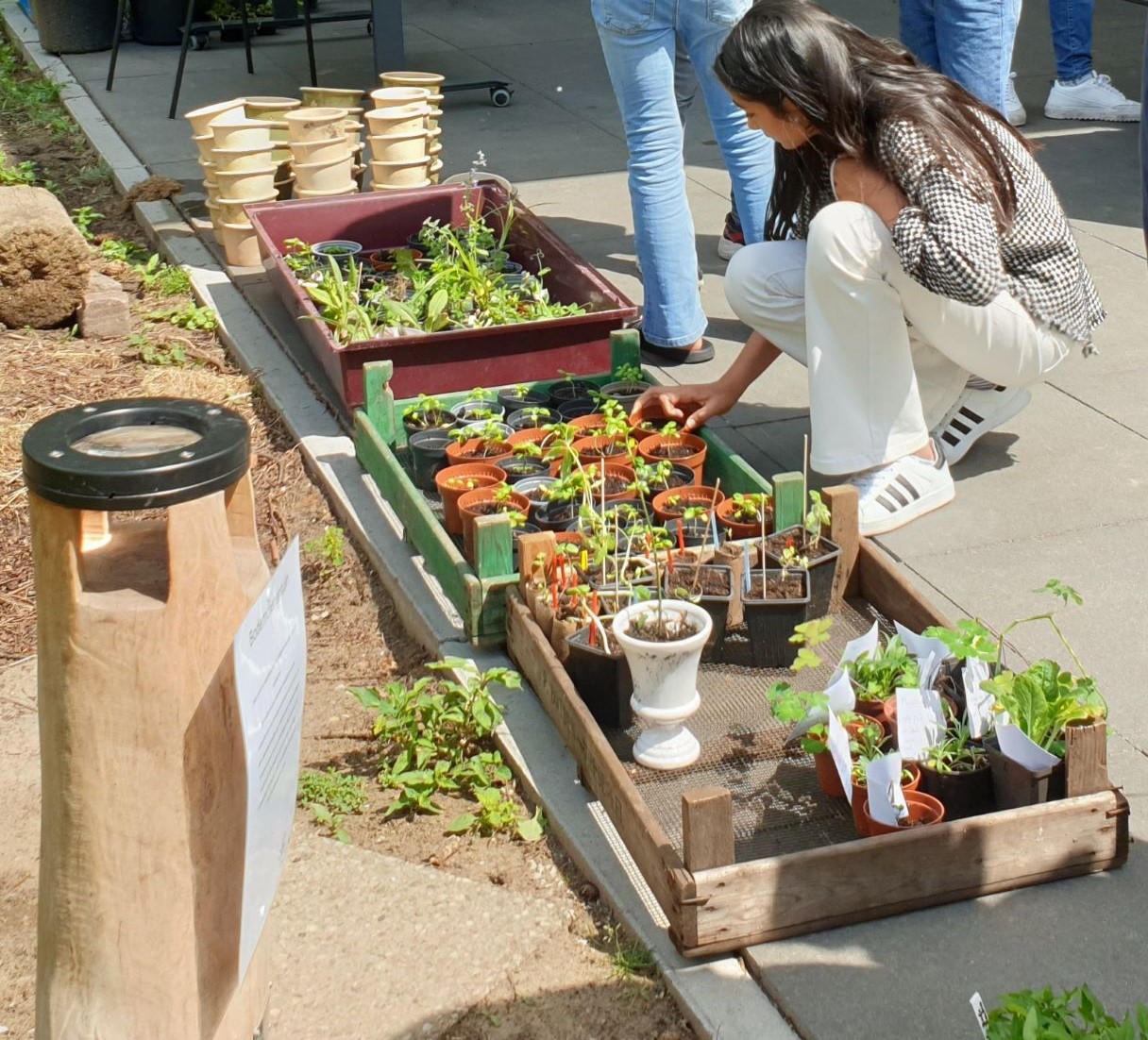 Vrouw buigt zich over plantjes in potten bij tuincentrum.
