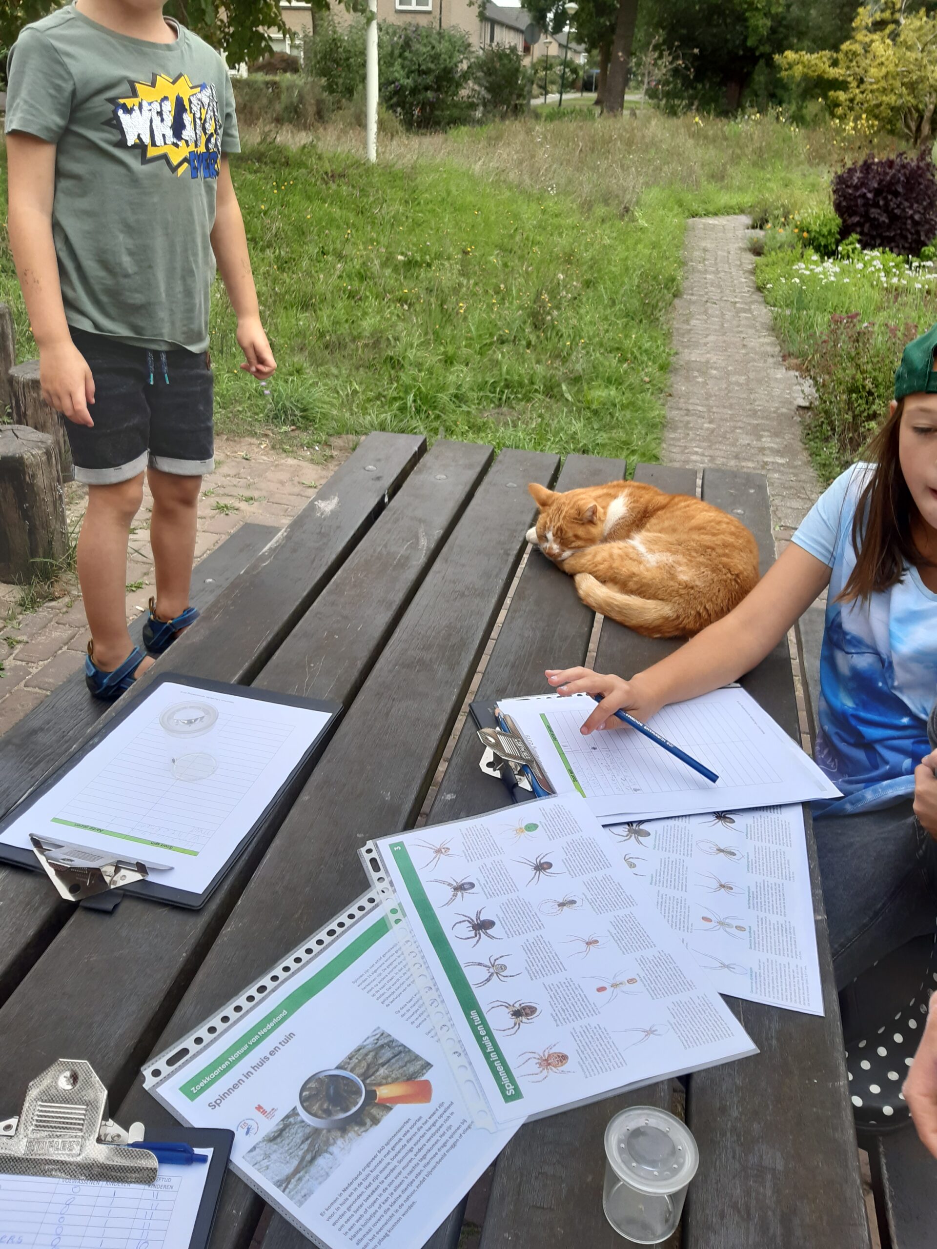 Kinderen aan tafel met papierwerk over spinnen; kat ligt te slapen op de tafel.