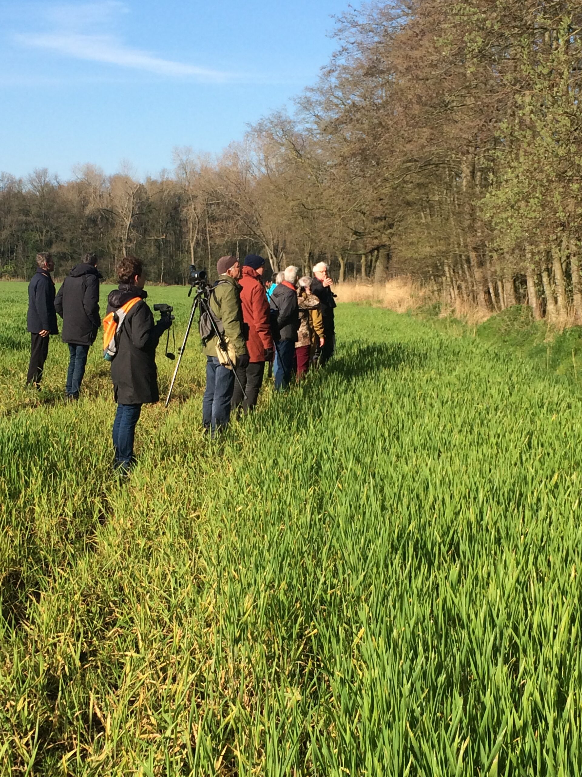 Groep mensen met camera’s observeert de natuur bij een grasveld en bomen onder een heldere hemel.