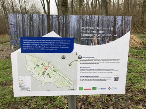 Informatiebord in een bos over natuurherstelproject Wijboschbroek, met kaart en uitleg.