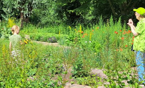 Een kind en een oudere persoon wandelen door een weelderige, groene tuin vol met bloemen.