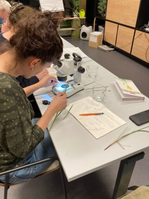 Vrouw onderzoekt planten onder een microscoop, met notities en boeken op tafel.