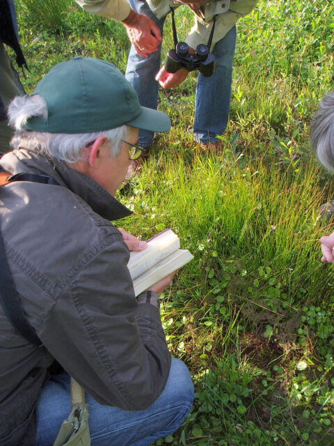 Mensen bestuderen planten in het gras met behulp van een boek en verrekijker.
