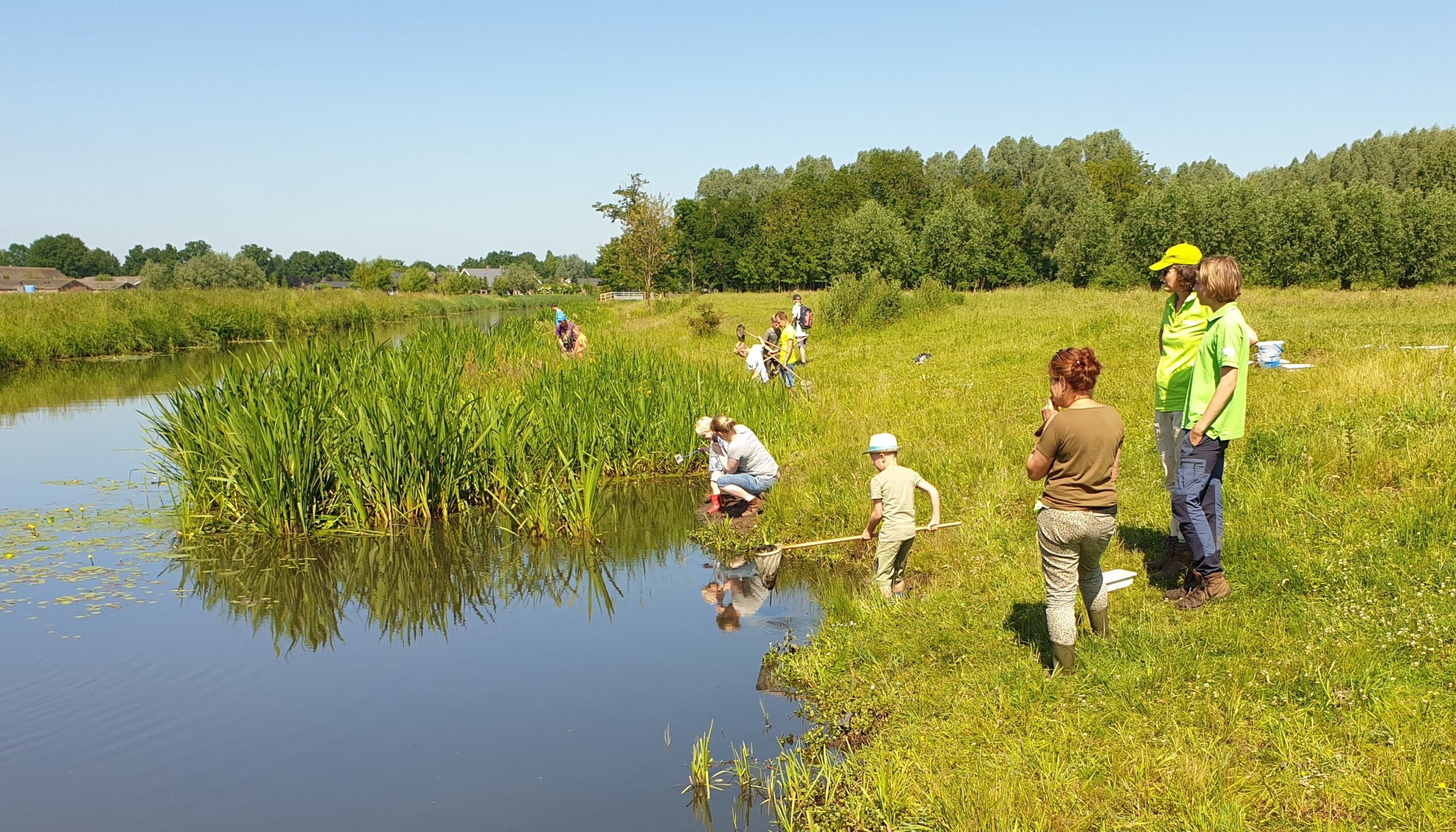 Kinderen en volwassenen onderzoeken de oever van een vijver in een groene, landelijke omgeving.