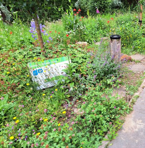 Bloemrijke tuin met infobord "Bodemdierentuin" en een transparante insectenhuis naast een pad.