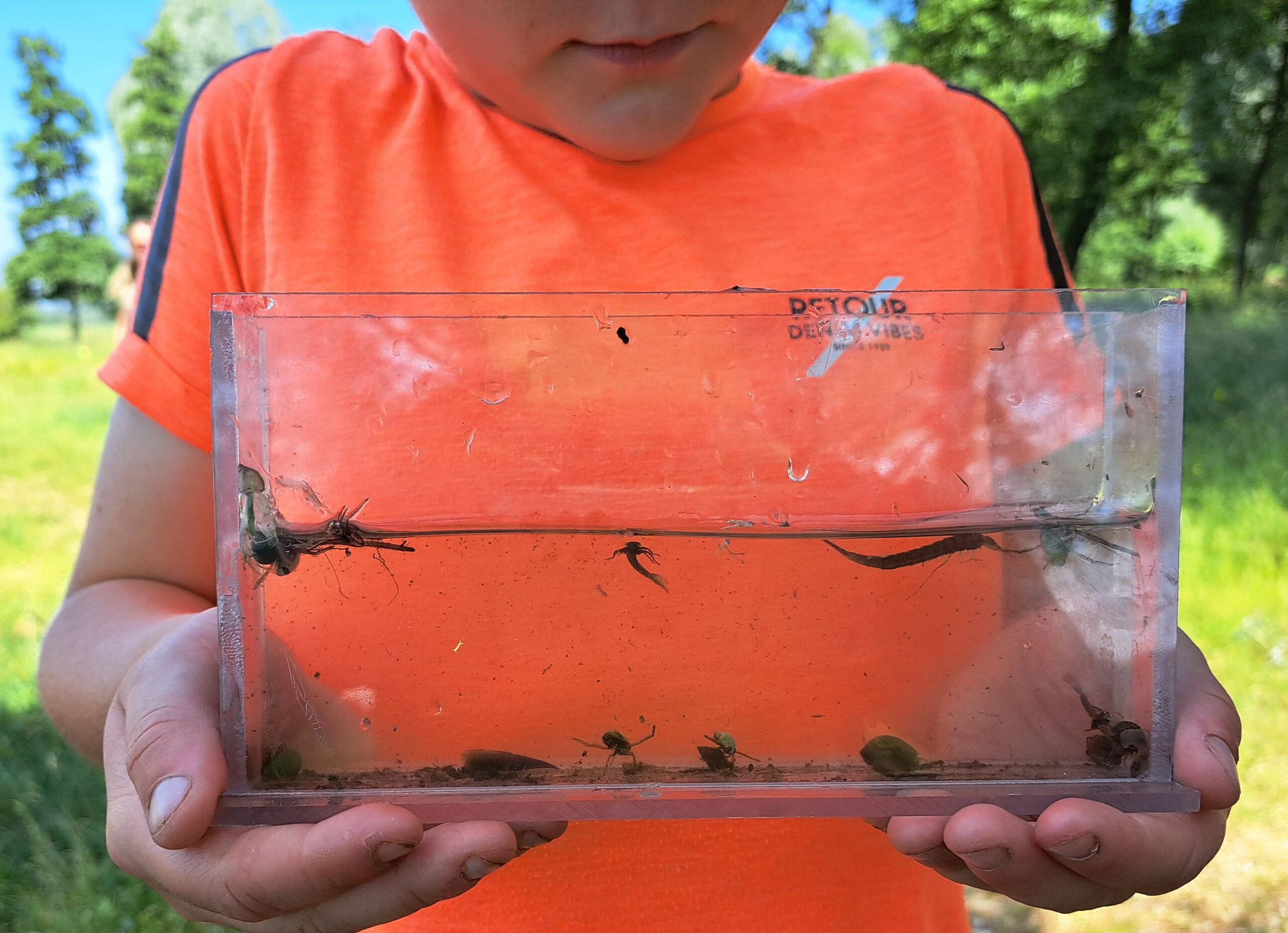 Kind houdt plastic bak met water en waterdieren buiten vast.