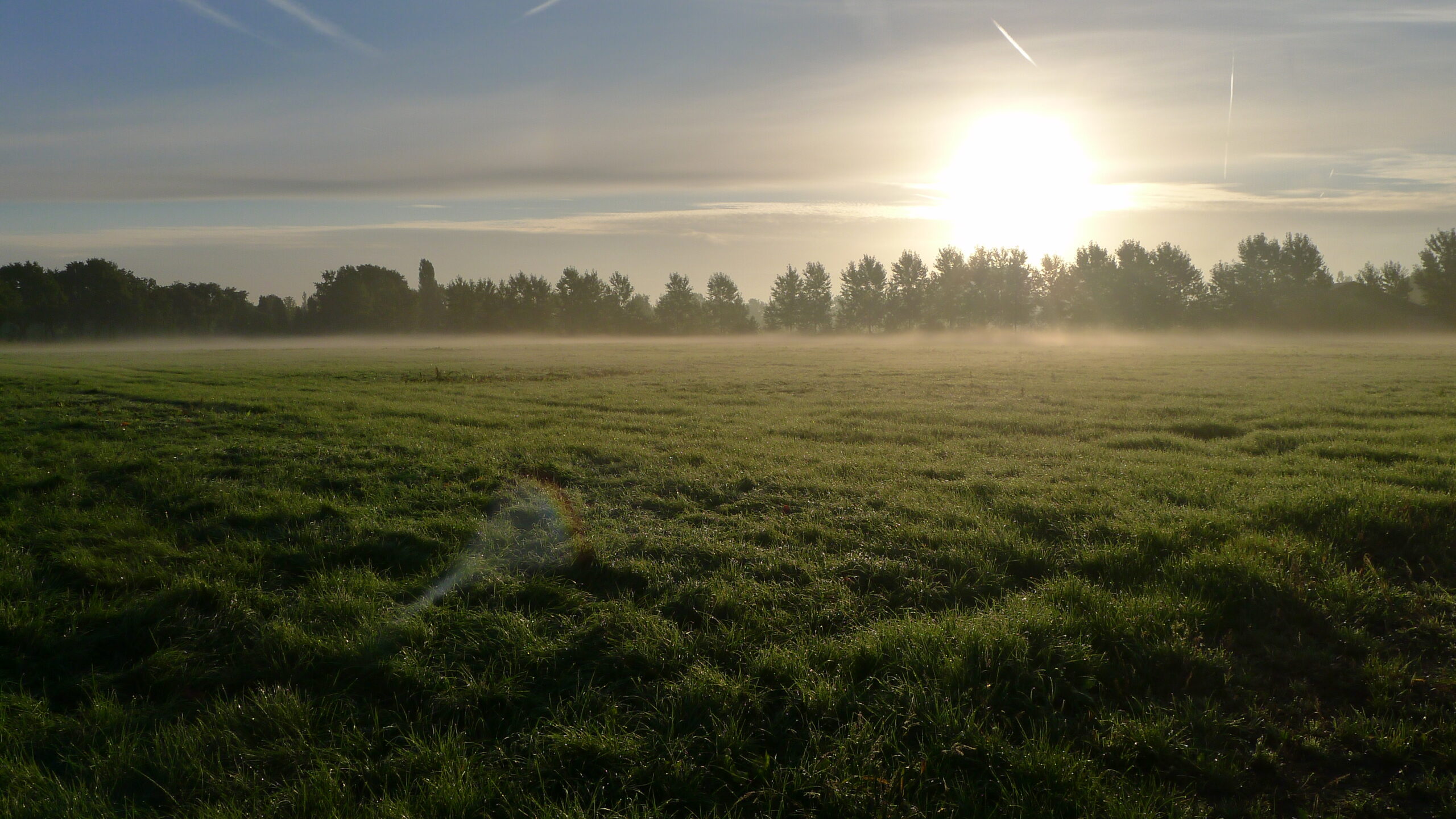 Zonsopkomst boven een met mist bedekt grasveld met bomen aan de horizon.