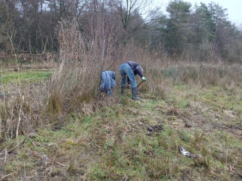 Twee mensen werken in een veld met gras en bomen op de achtergrond.