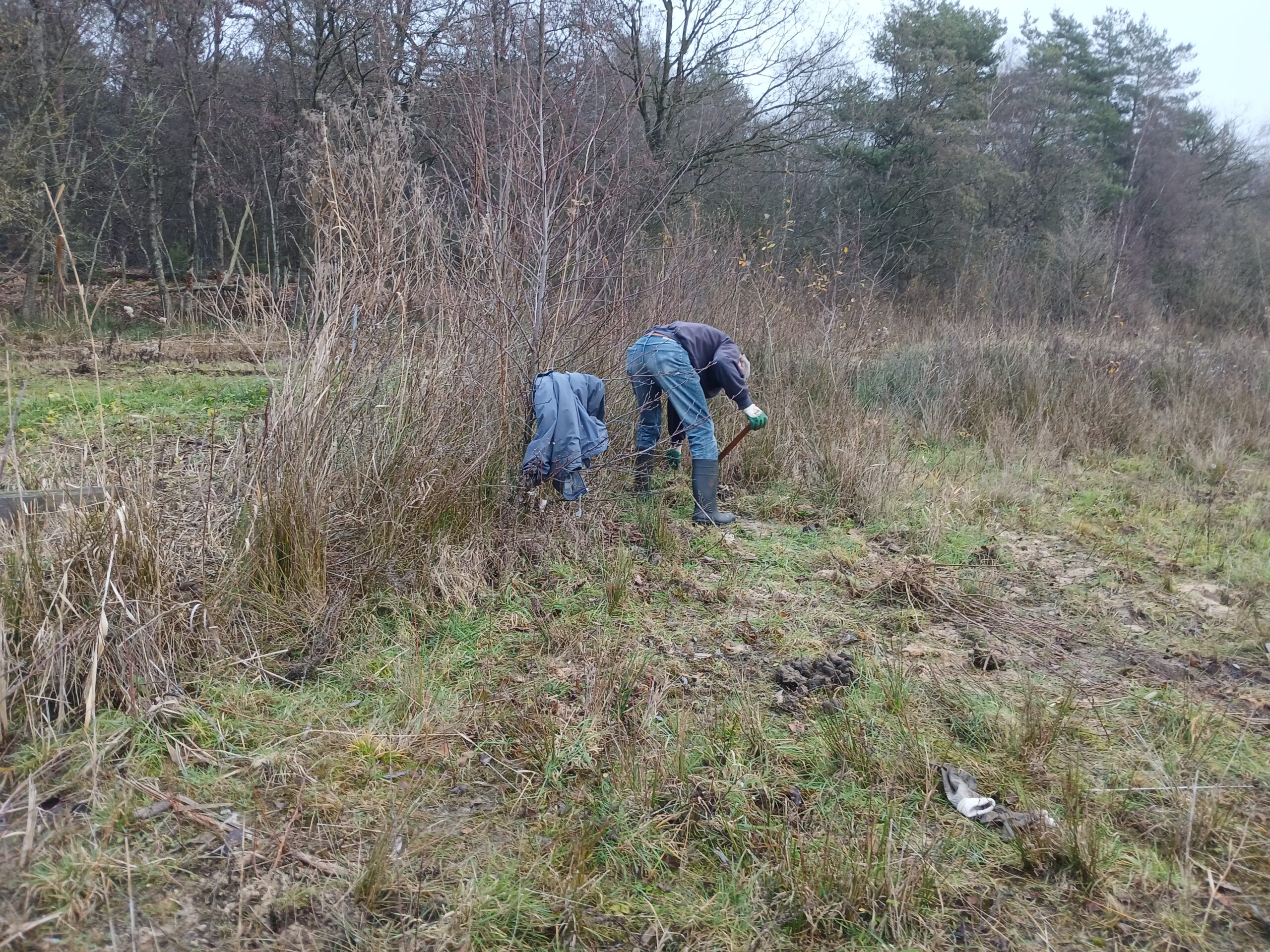 Twee mensen werken in een veld met gras en bomen op de achtergrond.