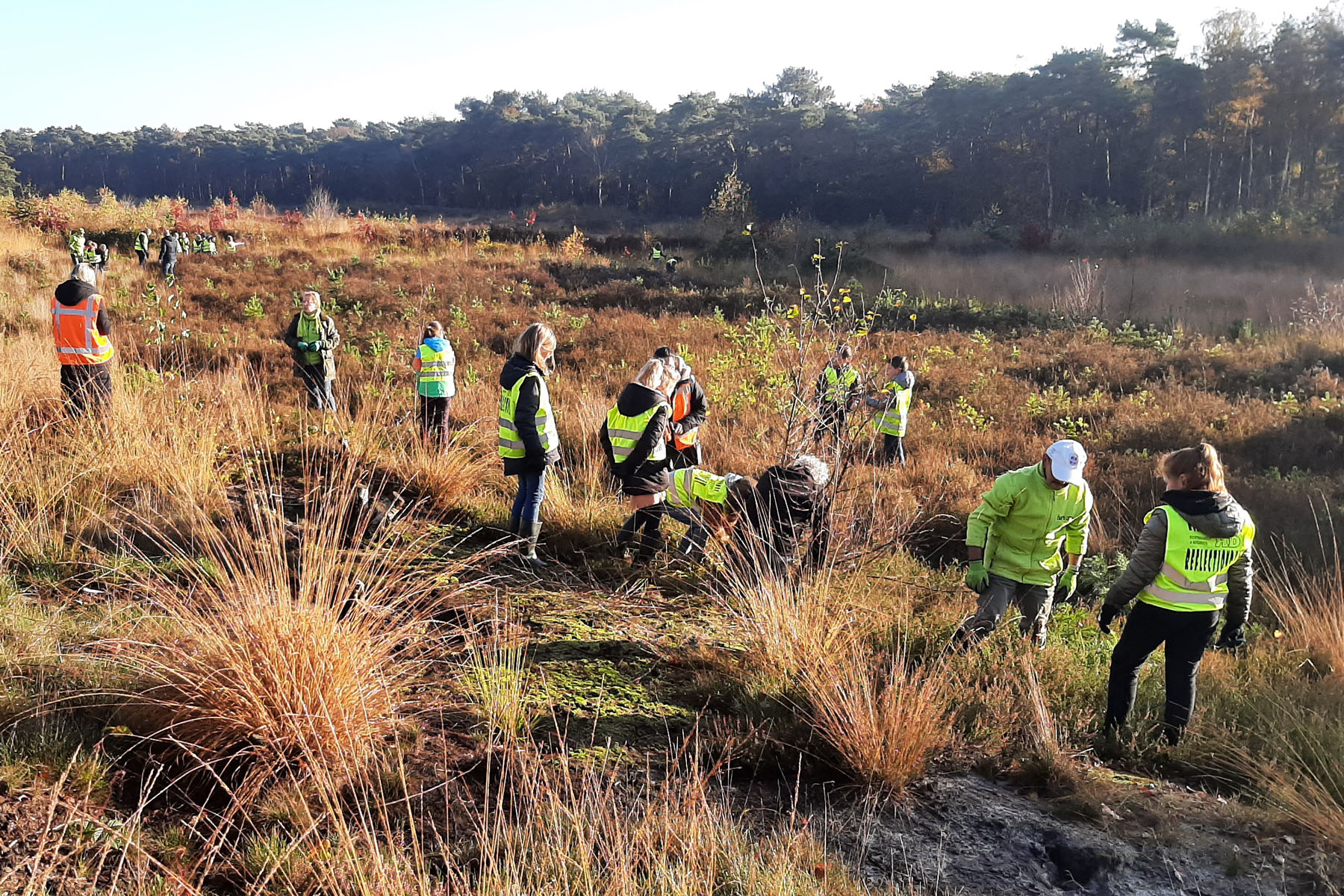 Natuurklusdag met BS Op Dreef