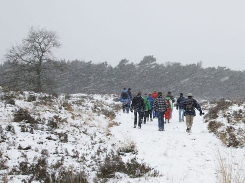 Jaaroverzicht activiteiten voor publiek