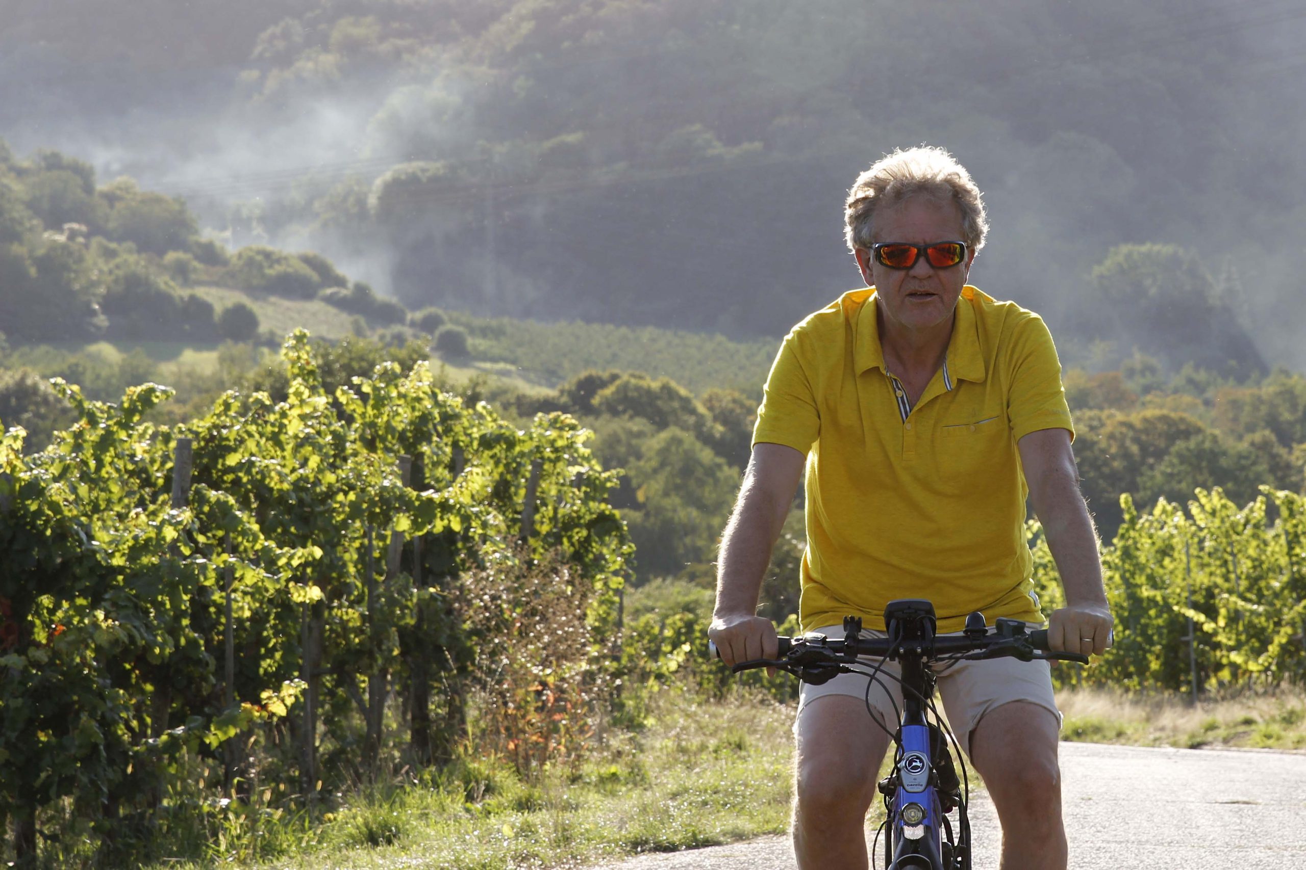 Man fietst in zomerse kleding door een zonnige wijngaard.