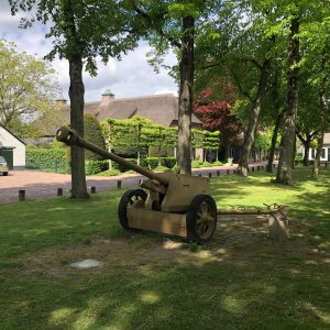 Een oude kanon staat op gras met bomen en huizen op de achtergrond.