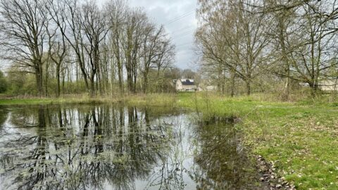 Vijver met bomen aan de oever, reflecties op het water; huis zichtbaar op de achtergrond.