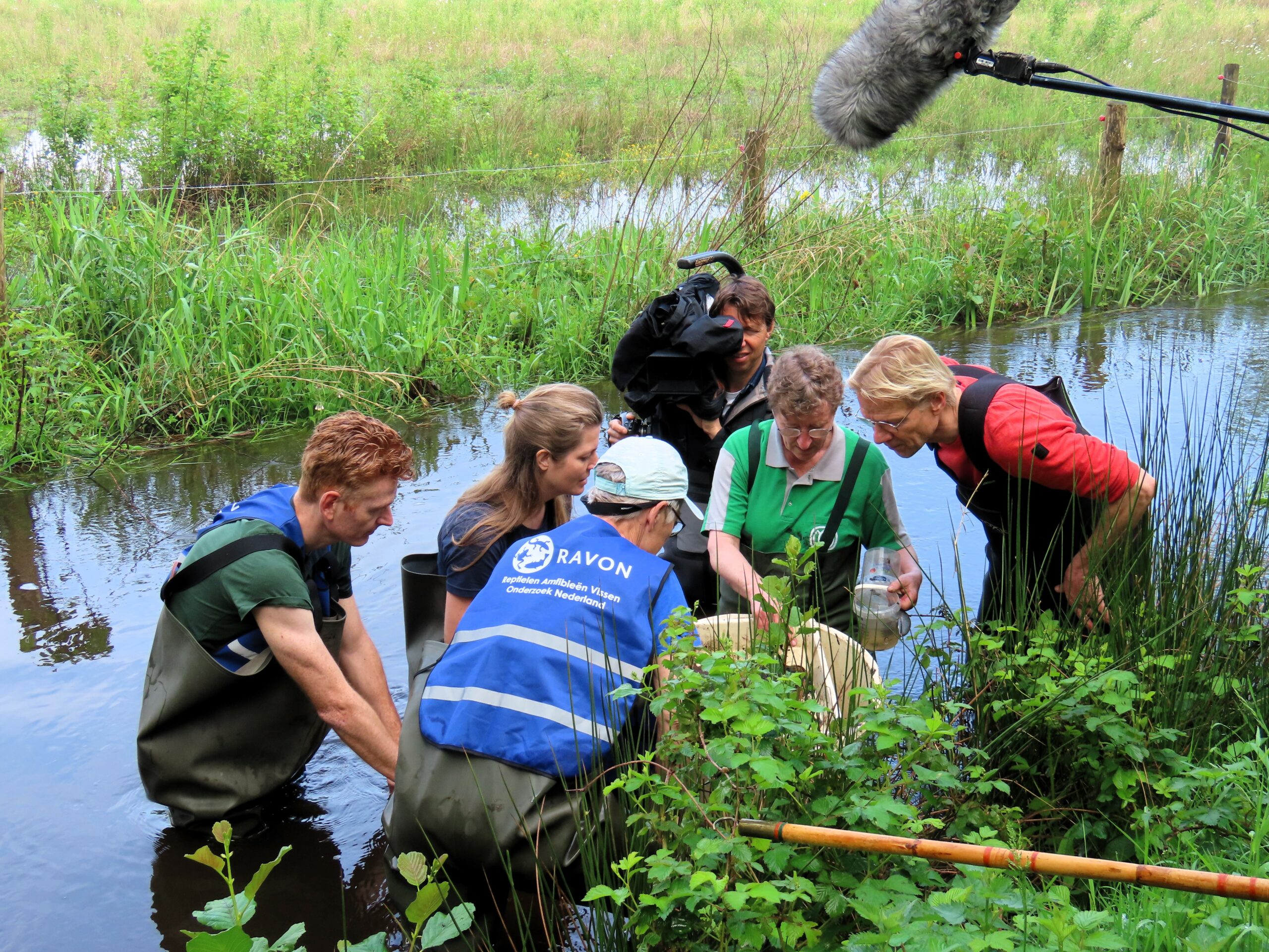 Mensen onderzoeken waterleven in een beek, omgeven door groen, met een cameraman en microfoon erbij.