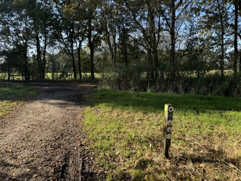 Bosrijk pad met wandelroutepaaltje, omringd door bomen en gras onder een heldere lucht.