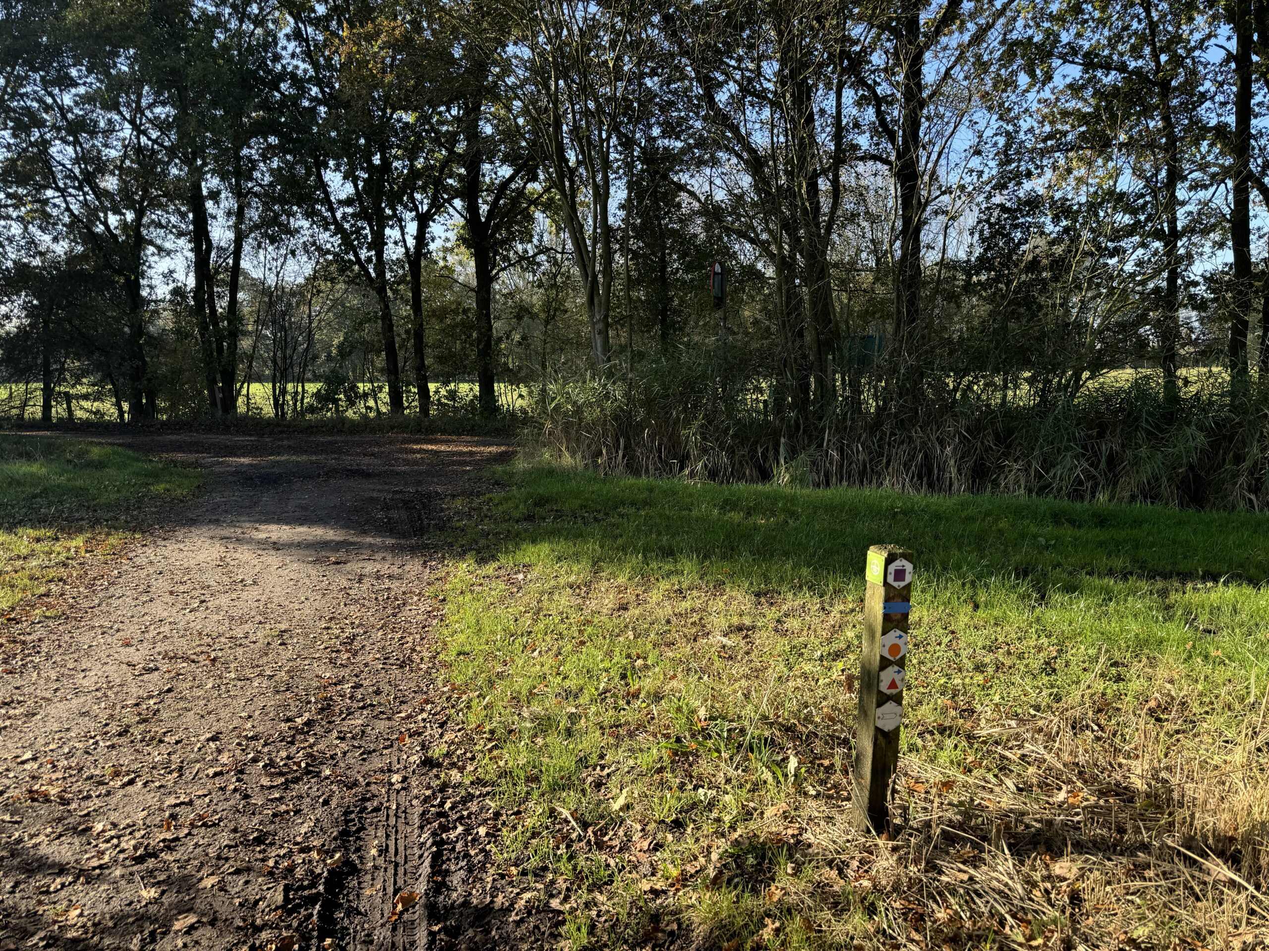 Bosrijk pad met wandelroutepaaltje, omringd door bomen en gras onder een heldere lucht.