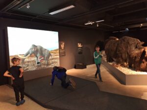 Kinderen spelen bij een museumtentoonstelling; een mammoetprojectie en mammoetfiguren.