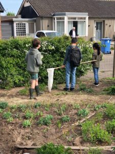 Kinderen vangen insecten met netten in tuin, oudere man kijkt vanuit huisraam.