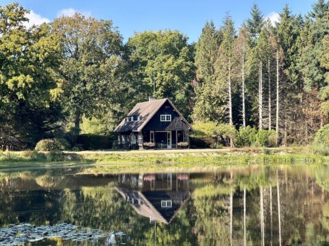 Houten huis aan de rand van een meer, omringd door bomen, weerspiegeld in het water.