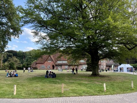 Grote boom op grasveld met mensen en een bakstenen gebouw op de achtergrond.