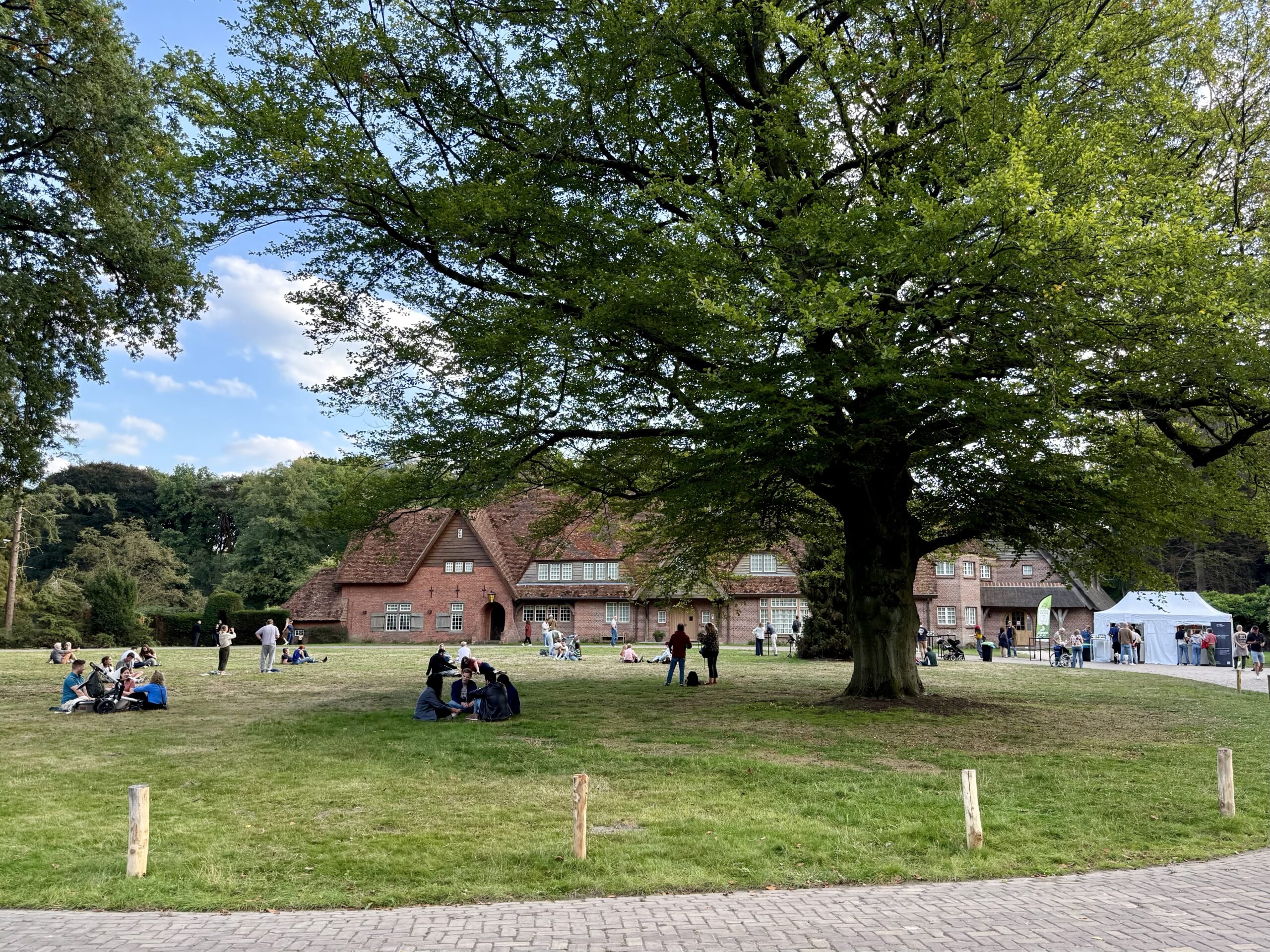 Grote boom op grasveld met mensen en een bakstenen gebouw op de achtergrond.