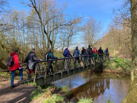 Mensen lopen over een smalle brug in een bosrijke omgeving onder een heldere blauwe lucht.
