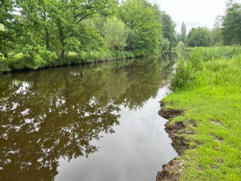 Rivier met weerspiegelende bomen aan de oevers, omgeven door groen gras en struiken.