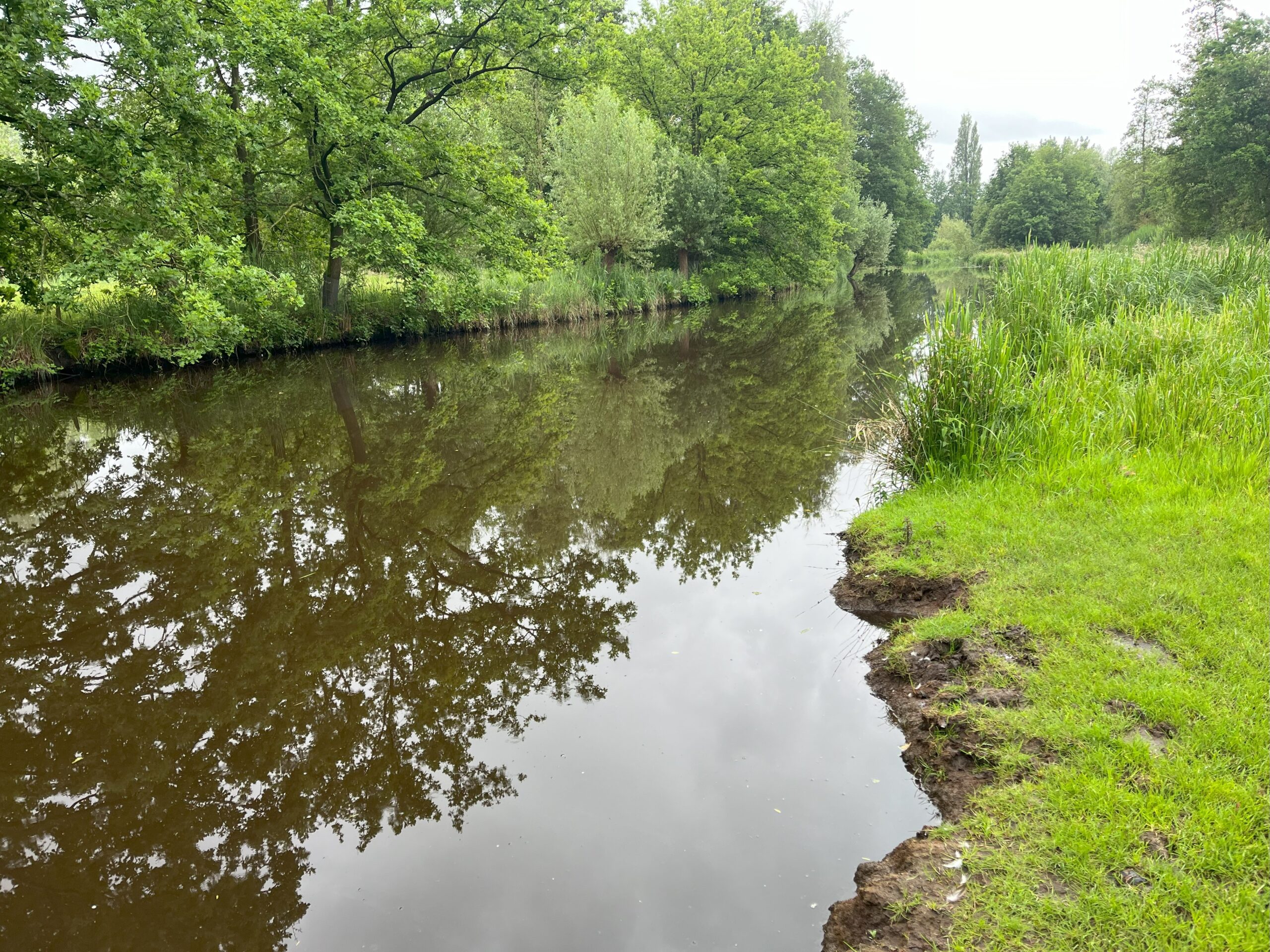 Rivier met weerspiegelende bomen aan de oevers, omgeven door groen gras en struiken.