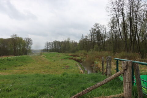 Groen grasveld met een smal, kronkelend stroompje en bomen aan beide zijden onder een bewolkte hemel.