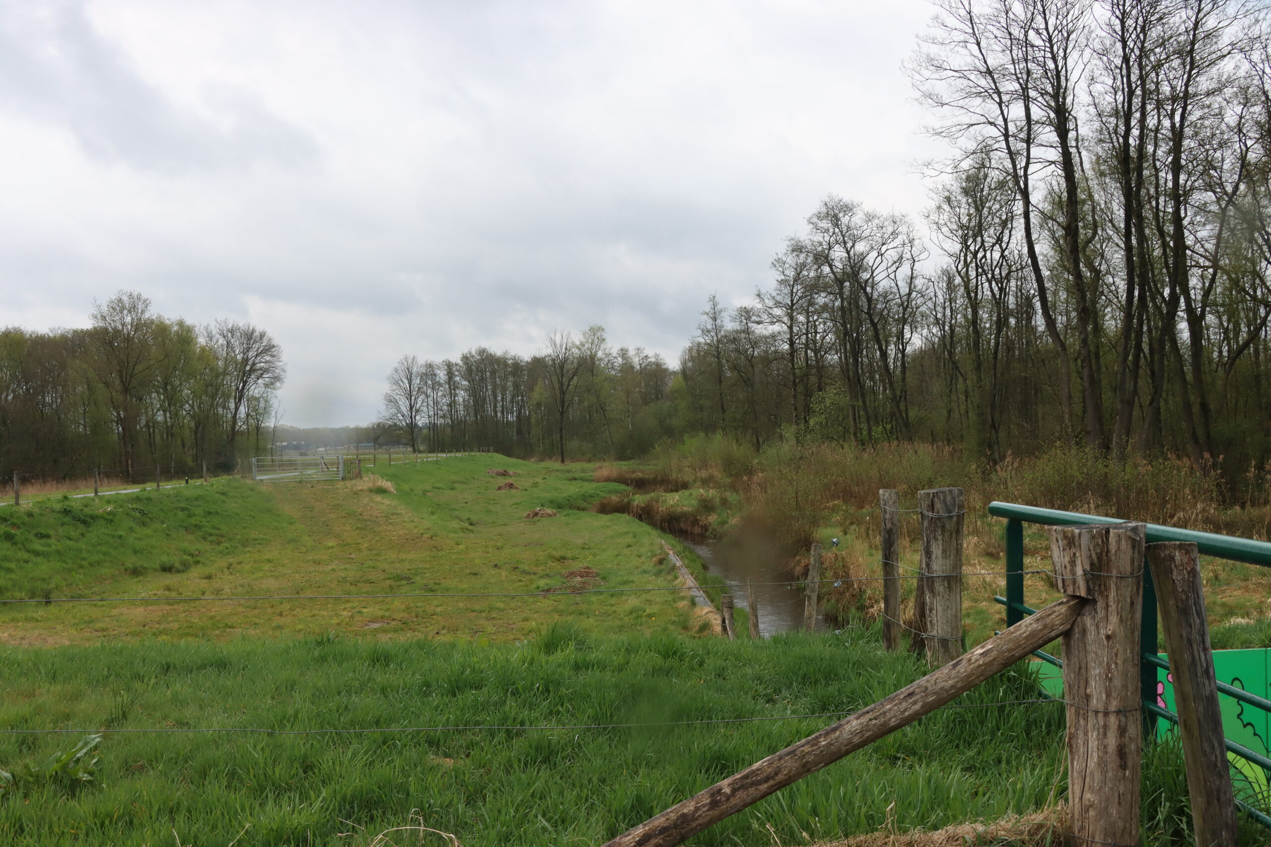 Groen grasveld met een smal, kronkelend stroompje en bomen aan beide zijden onder een bewolkte hemel.
