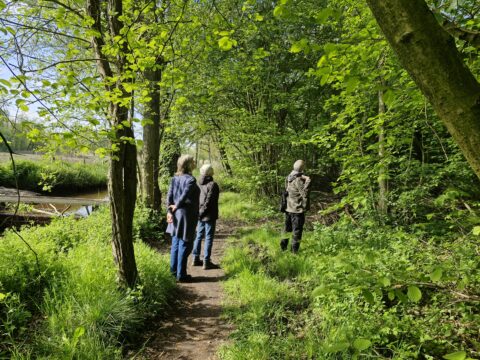 Drie mensen wandelen op een bosrijk pad langs een kanaal onder een zonnige blauwe hemel.