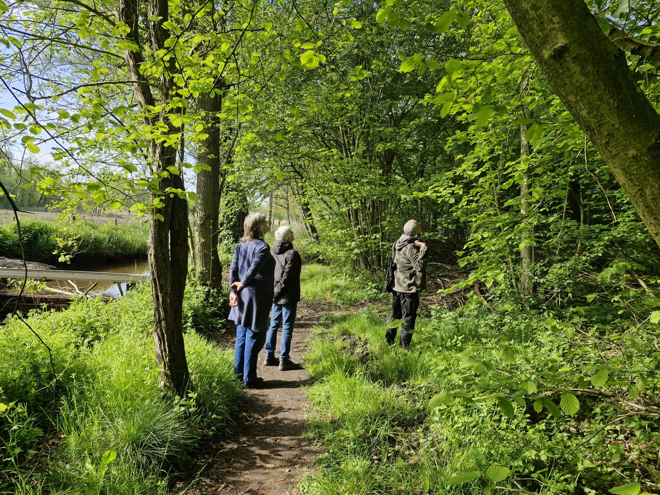 Drie mensen wandelen op een bosrijk pad langs een kanaal onder een zonnige blauwe hemel.