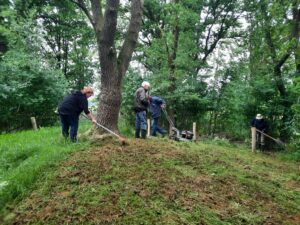 Vier mensen onderhouden gras en struiken rondom een grote boom in een bosrijke omgeving.