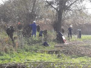 Mensen snoeien bomen in een groen, bosrijk gebied met een ladder en gereedschap.