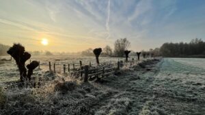Winterlandschap met rijp, knotwilgen, een hek en een opkomende zon in de ochtendnevel.