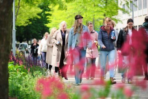 Groep mensen wandelt over een stadsweg, omgeven door groene bomen en kleurrijke bloemen.