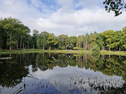 Huisje omringd door bomen weerspiegeld in een rustige vijver onder een bewolkte lucht.