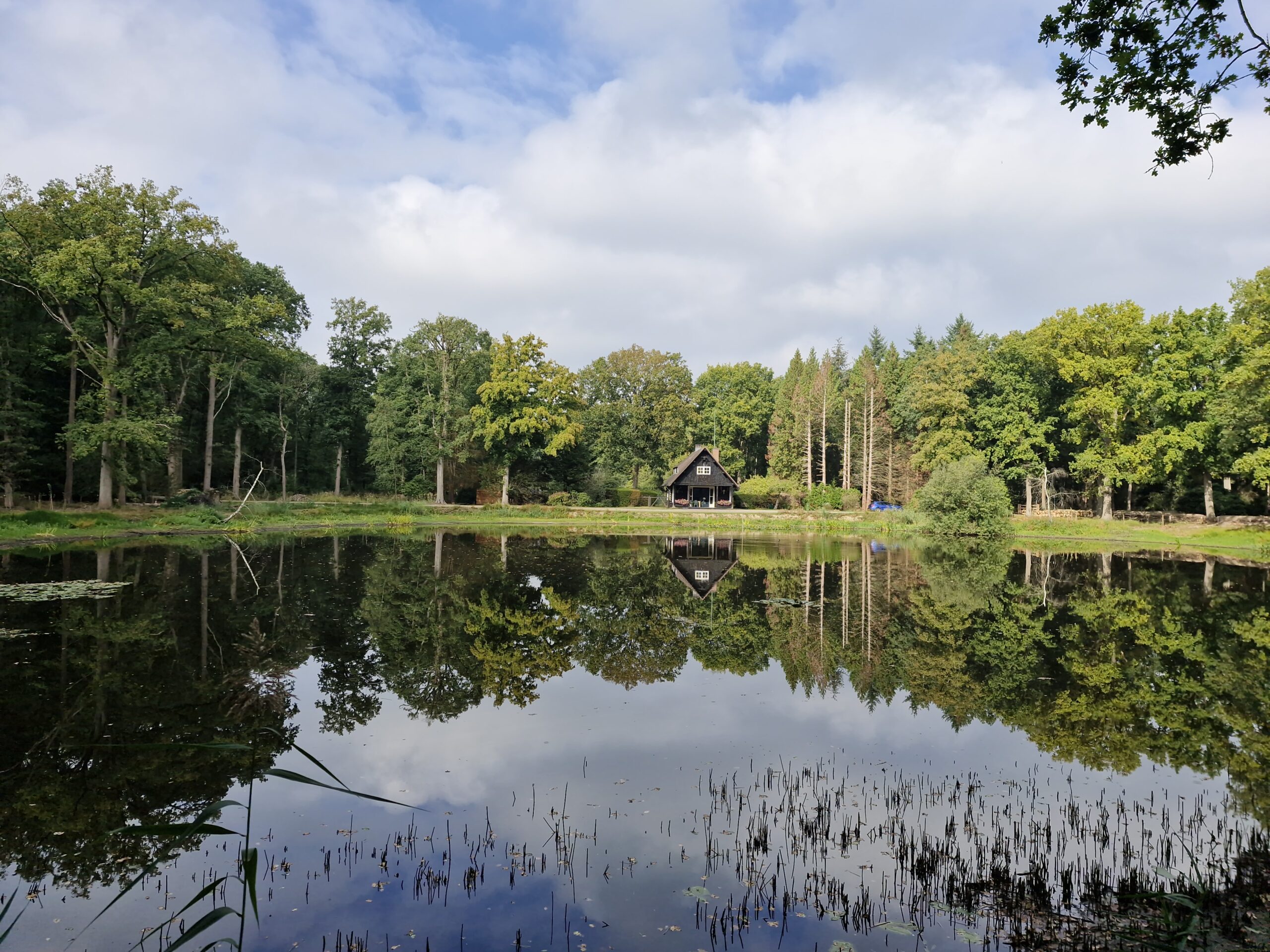 Huisje omringd door bomen weerspiegeld in een rustige vijver onder een bewolkte lucht.