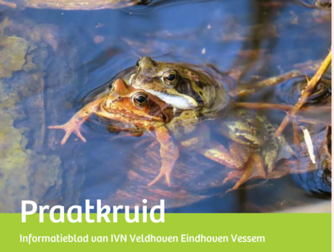 Twee kikkers in water, omringd door bladeren. Tekst: "Praatkruid, IVN Veldhoven Eindhoven Vessem".
