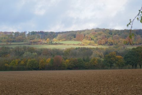 Bestuur