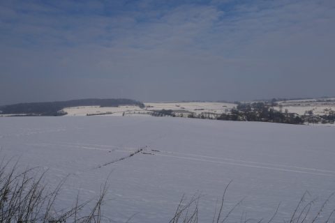 Nieuwjaarswandeling op 8 januari 2023