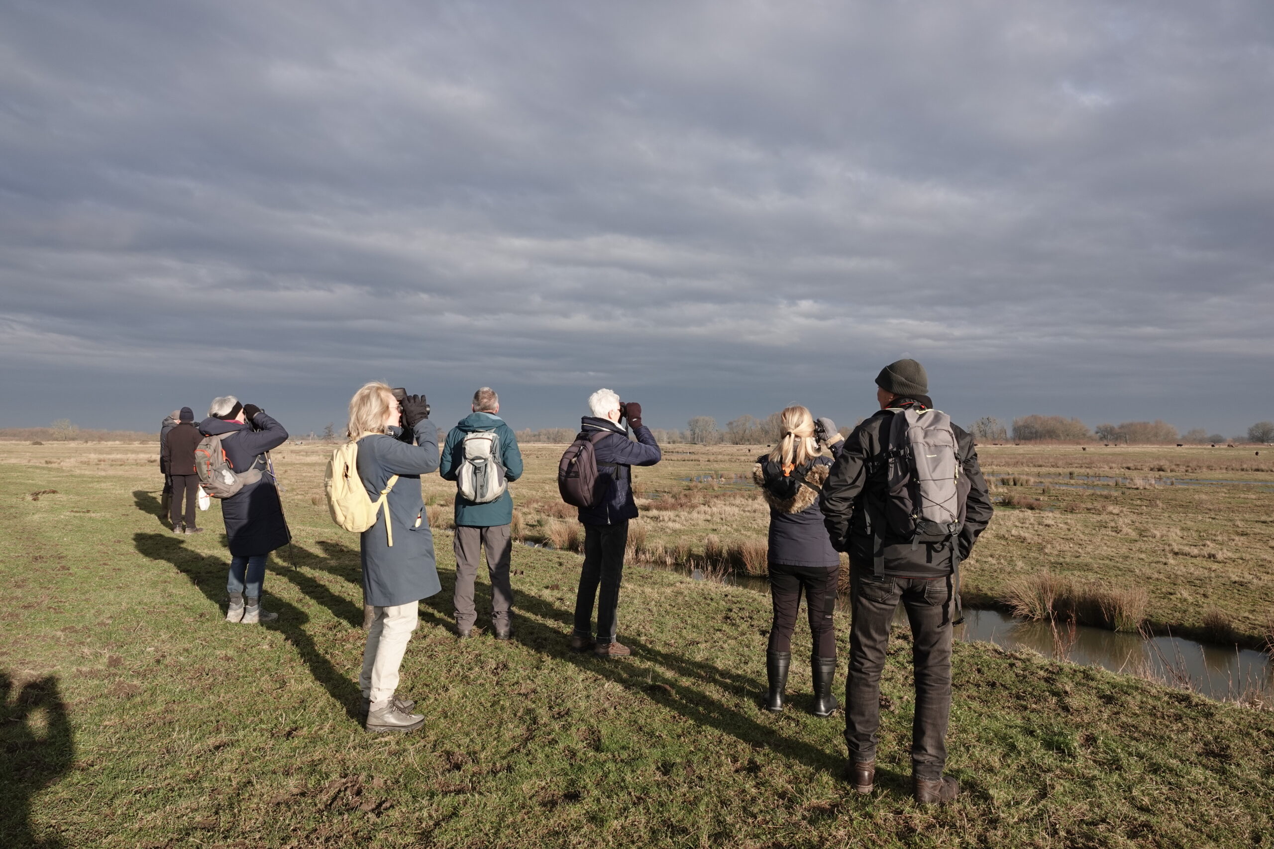 Groep mensen met rugzakken kijkt naar vogels in een open veld onder een bewolkte hemel.