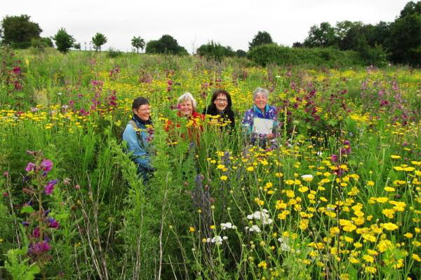 Vier mensen zitten glimlachend in een veld vol kleurrijke wilde bloemen.