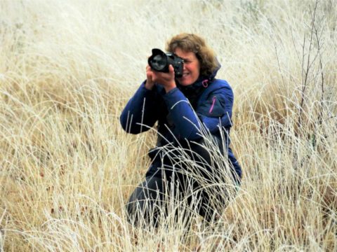 Cursus Natuurfotografie – zomer 2022