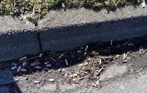 Sigarettenfilters opruimen tijdens actie Plastic PeukMeuk