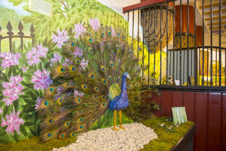 Een pauw met kleurrijke veren voor een beschilderde tuinmuur met bloemen en een hek.