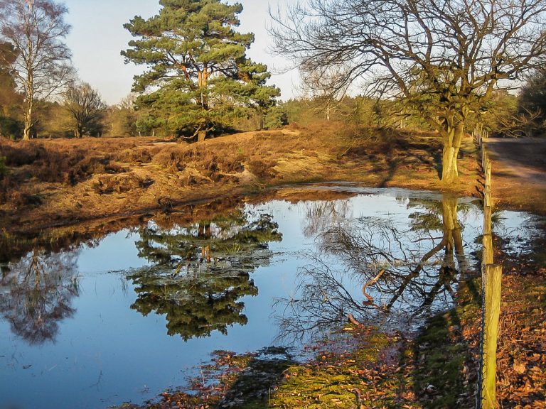 Ommetjes Oranjeveld-Coeveringse heide