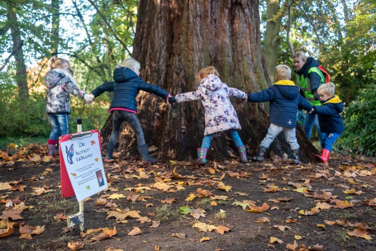 Kinderen houden elkaars handen vast rond een grote boom in het bos met een bord over de bomenkabouter.